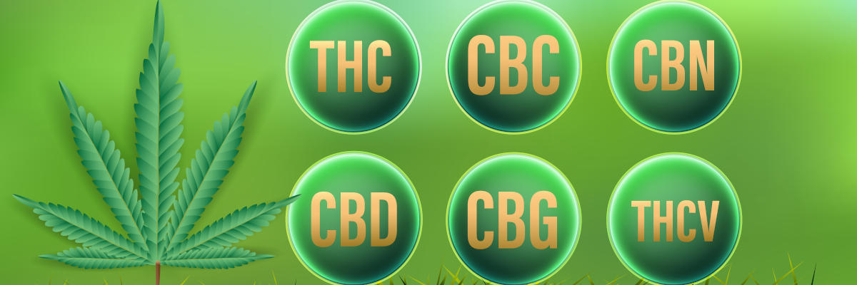 Κανναβινοειδή - Επισκόπηση: CBD, THC, CBC, CBN, CBG, THCV
